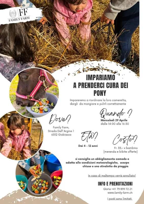 Lernen wir, uns um die Ponys zu kümmern