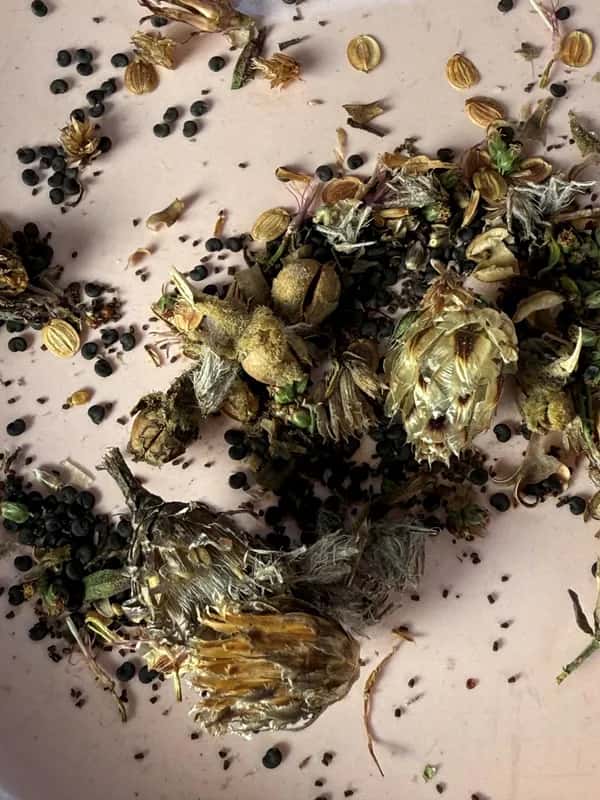 ATELIER UN’ESPLOSIONE DI NATURA - FESTIVAL DELLA NATURA