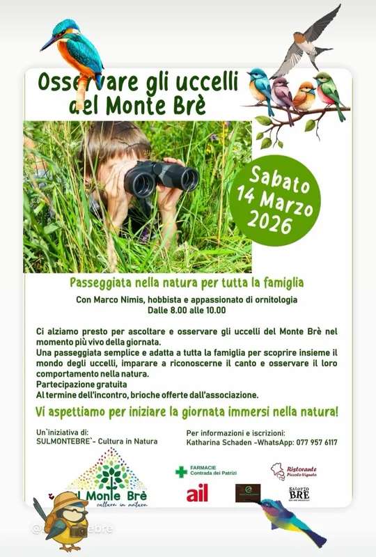 Osservare gli uccelli del Monte Brè