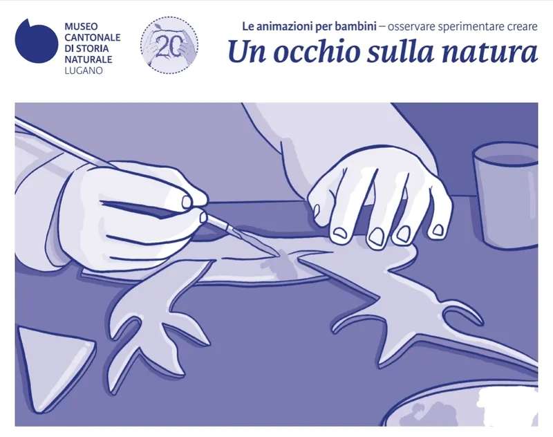 Racconti di cose del Museo