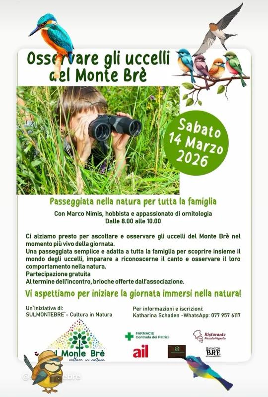 Osservare gli uccelli del Monte Brè