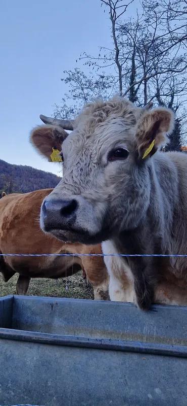 Pranzo in Agriturismo