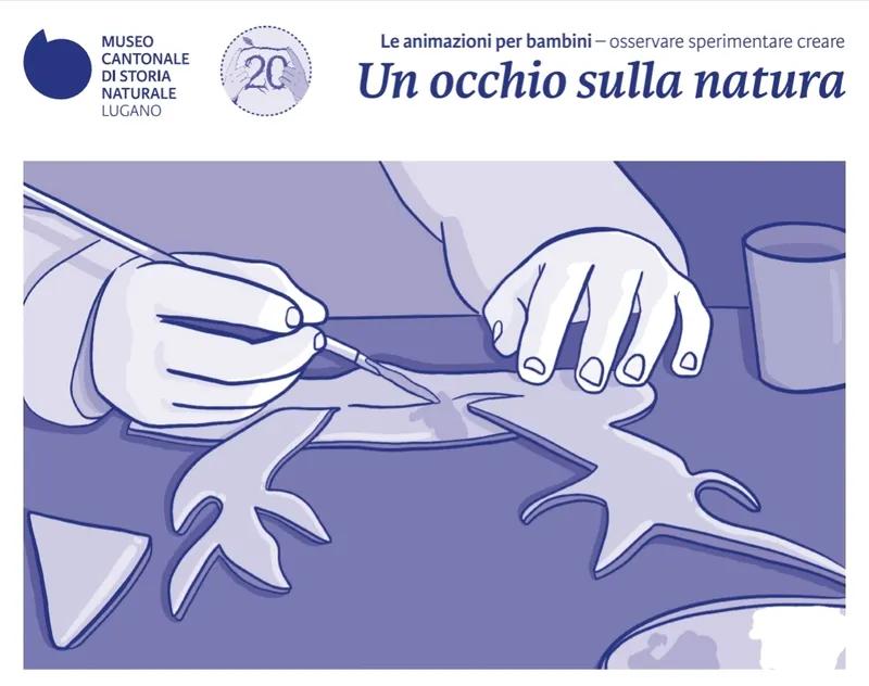 Racconti di cose del Museo