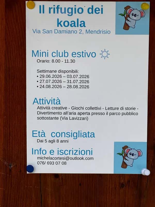 Il rifugio dei koala – Mini club estivo