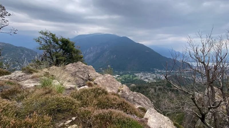 Cosa ci offre il bosco a inizio primavera?