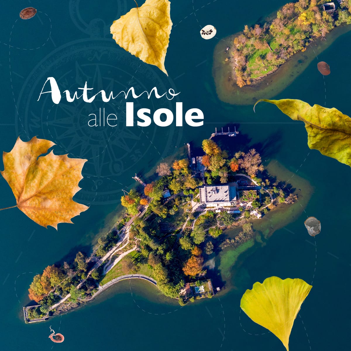 Automne aux Îles
